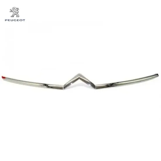 Çita Peugeot 7966.29 resmi