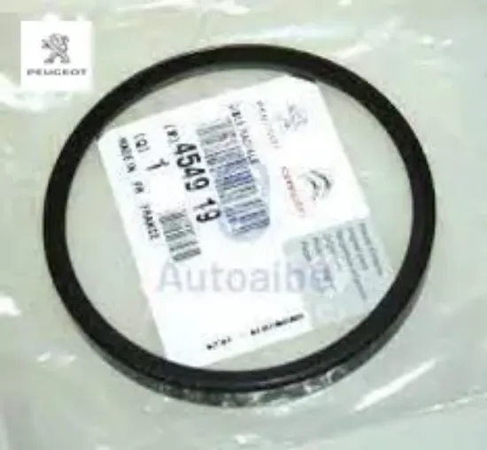 Arka Porya Segmani  407-c4-c5 Peugeot    PEUGEOT, CITROEN 4549.19 resmi