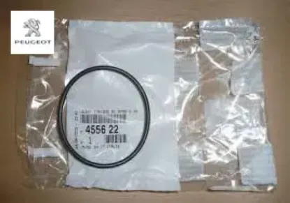 Vakum Pompa Contasi Ep6 1.6 16v Tüm Seri resmi