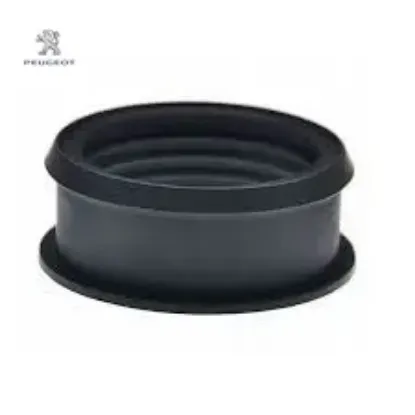 Hava Filtre Hortum Contasi Peugeot 9826775080 resmi