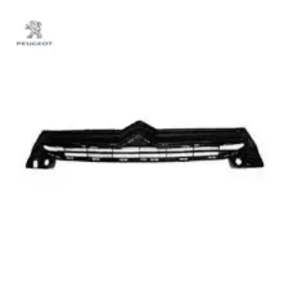 Izgara Peugeot 9816045880 resmi