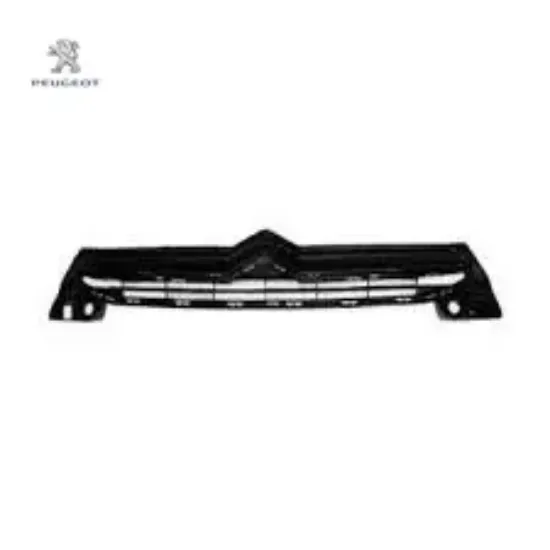 Izgara Peugeot 9816045880 resmi