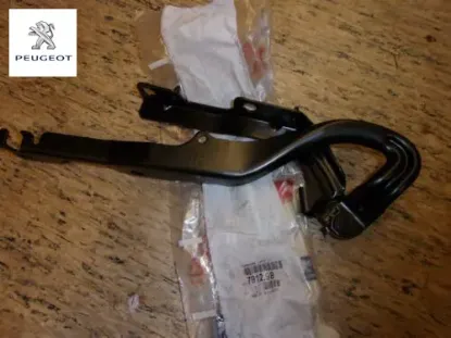 Motor Kaput Menteşesi Sağ  207 Peugeot    PEUGEOT 7912.98 resmi