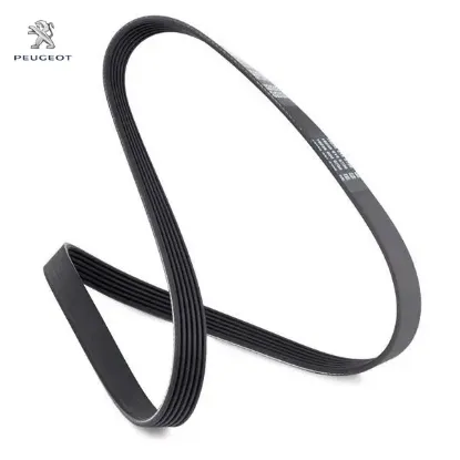 Alternatör Kayişi 6pk1217 307-308-407-508 2.0hdi resmi