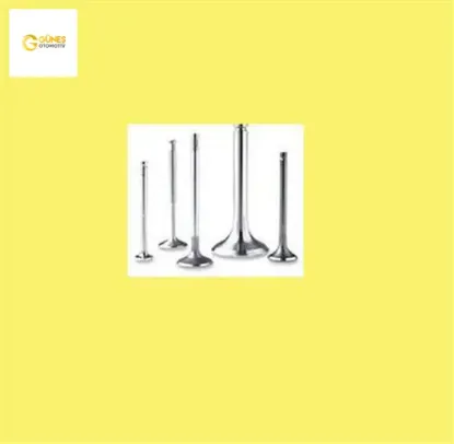 Takim Supap  406-605  1.8/2.0 Xu10j4r  16v 0948.75/ 0949.81 resmi