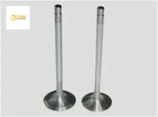 Takim Supap  206-301-307-308-partner 1.6 16/tu5jp4 0948.E0-0949.C5 resmi