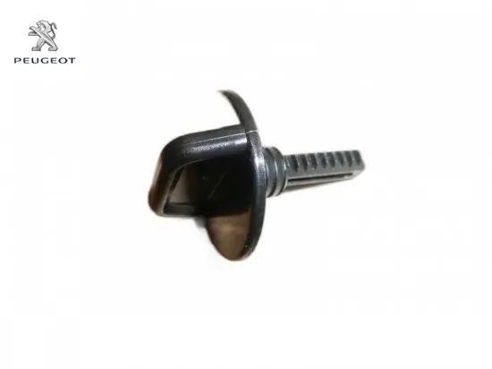 Motor Üst Kapak Sabitleme Vidasi Partner Dw8 resmi