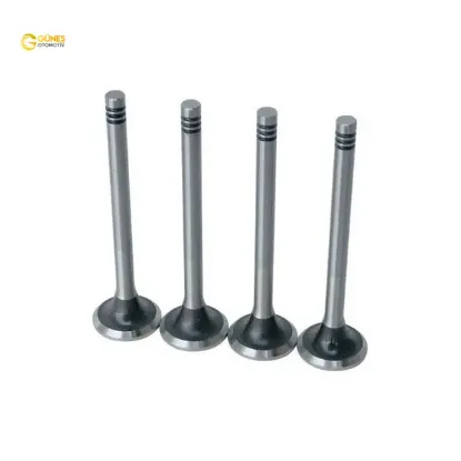 Supap Gaydi Tk.  206-307-bipper-c3 1.6 16v 0220.A6 resmi