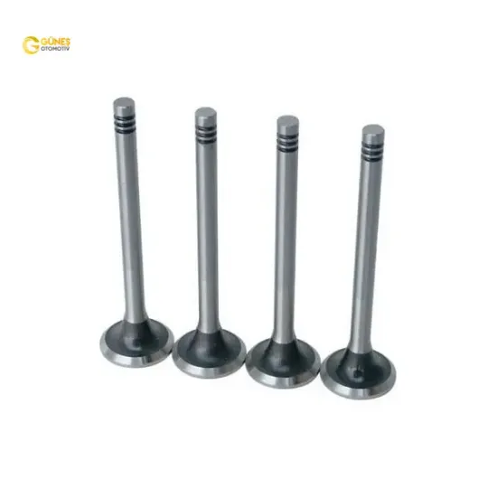 Supap Gaydi Tk.  206-307-bipper-c3 1.6 16v 0220.A6 resmi