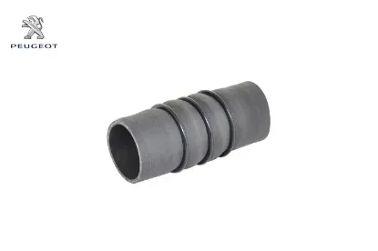 Hava Hortum 1.6 Peugeot 9801280680 resmi