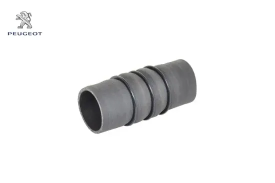 Hava Hortum 1.6 Peugeot 9801280680 resmi