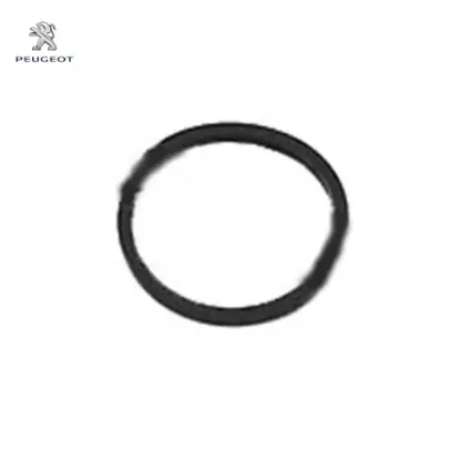 Termostat Contasi 306 Peugeot    CITROEN, PEUGEOT 1340.60 resmi