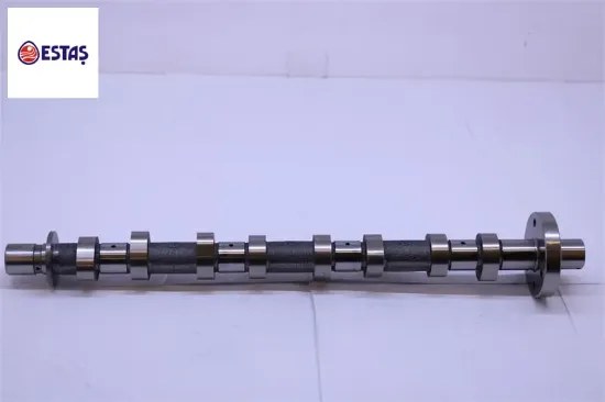 Eksantrik Mili Eksoz Döküm Master Iii Estaş  8200827922   ESTAS 45079 DOKUM resmi