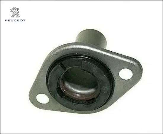 Prizdirek Kilavuzu 307 308 Ml6 Şanzuman Dw10bted resmi