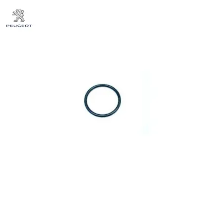 Su Hortum Contasi Peugeot 1319.N4 resmi