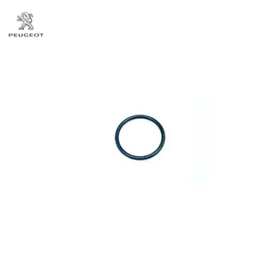 Su Hortum Contasi Peugeot 1319.N4 resmi