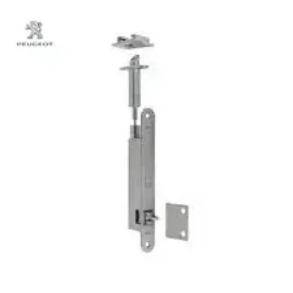 Arka Fren Ayar Circiri 301 Peugeot    4310.88 resmi