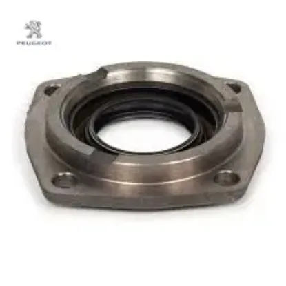 Difransiyel Dişli Plakasi//peugeot Peugeot 9822498280 resmi