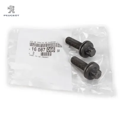 Eksantrik Dişli Vidasi Peugeot 1608706680 resmi