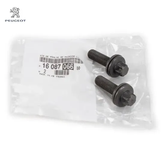 Eksantrik Dişli Vidasi Peugeot 1608706680 resmi