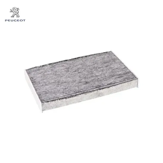 Karbon Filtresi Peugeot 9815106780 resmi