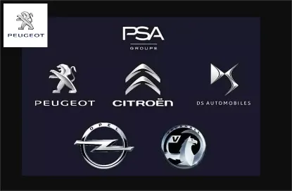 Mesn Tkm Paket Peugeot 1638495180 resmi