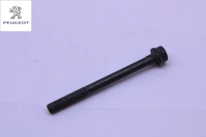 Silindir Kapak Saplamasi Peugeot  0250.C6    1611174780 resmi