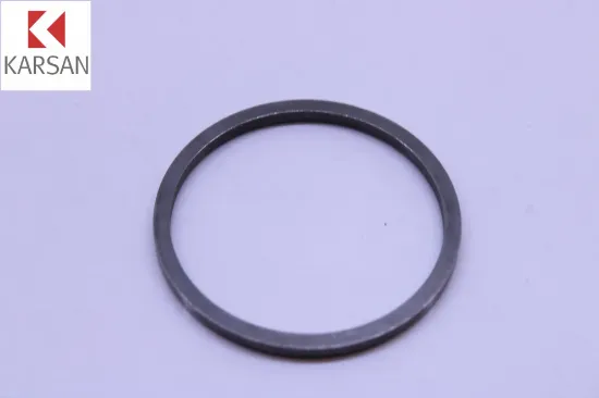 Segman Jest Karsan 2210007AA resmi