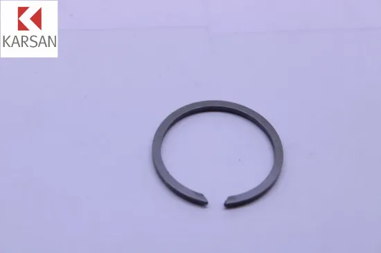 Segman Jest Karsan 2210010AA resmi