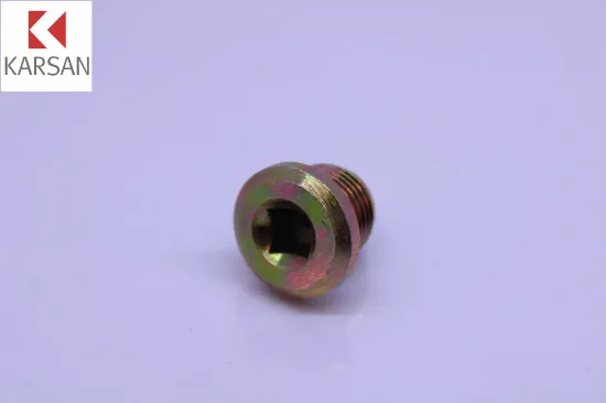 Şanzuman  Yağ Boşaltma Tapa Karsan  222118.04    K222118 resmi