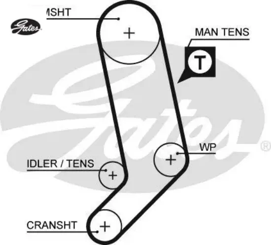 Triger kayışı caravella-transporter 5323xs gates resmi