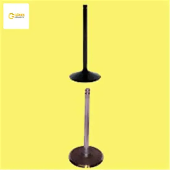 Subap emme egzoz mgn 1.9tdı-movana 1.9tdı 8v fpqm7 7mm ın-4/ex-4 7700110387/ 7700110389 resmi