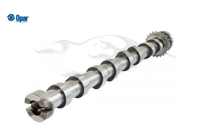 Eksantrik mili expert 4 (k0) 9828655380 resmi