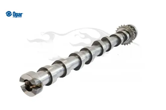 Eksantrik mili expert 4 (k0) 9828655380 resmi