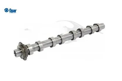 Eksantrik mili - c4 x (c43) expert 4 (k0) 9828655580 resmi