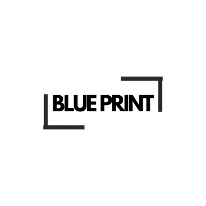 BLUE PRINT üreticisi resmi