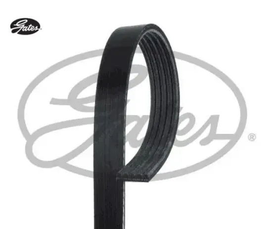 V kayışı accent-getz-accent era +ac 1.5crdı 05=   gates 5pk1810 resmi