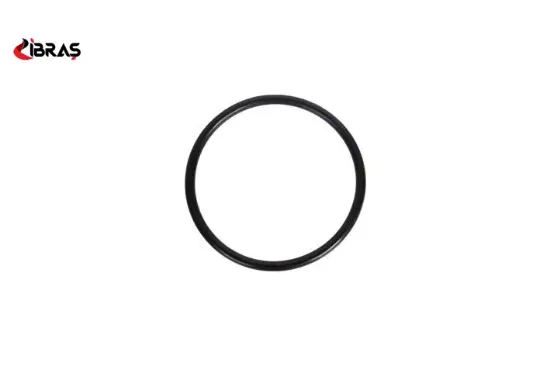 Gaz kelebeği contası clıo ıı-duster-logan 1.6 16v k4m  8200068566/ 7701045723 ıbras  resmi