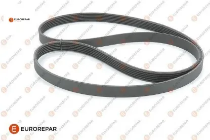 Erp alternatör kayışı 1606353880 eurorepar 1606353880 resmi