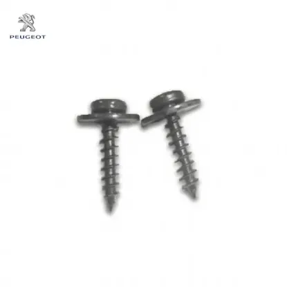 Saç vidası peugeot 6924.J0 resmi