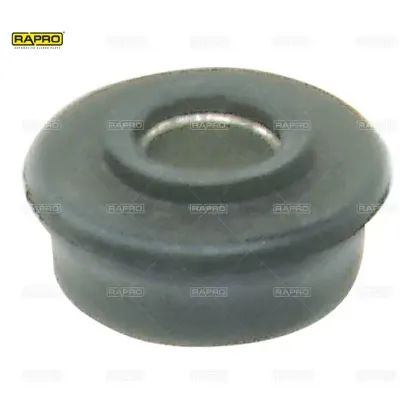 Kastel lastiği burçlu r-12  7700547187/  rapro r58091 resmi