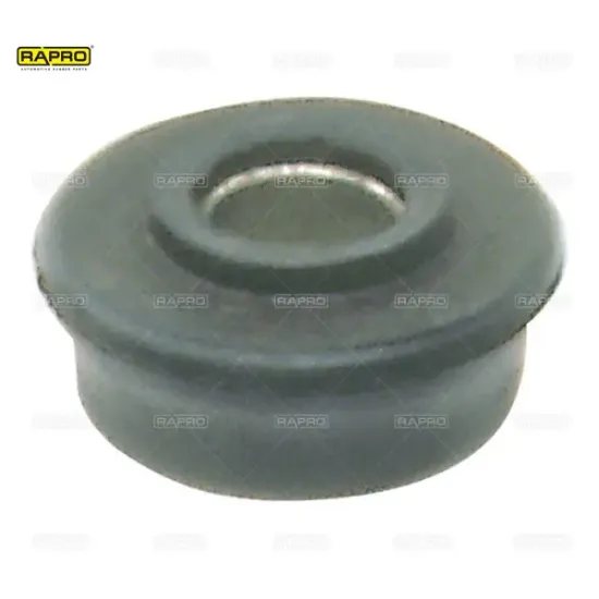 Kastel lastiği burçlu r-12  7700547187/  rapro r58091 resmi