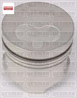 Piston segman 80mm 050 r 19 d express   yenmak 31-04161 resmi
