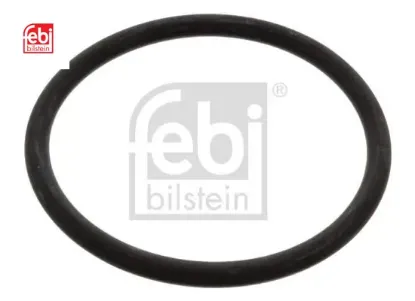 O rıng termostat için amarok 4motıon s1 bora 1j bora ıv febı bılsteın 038121119b resmi