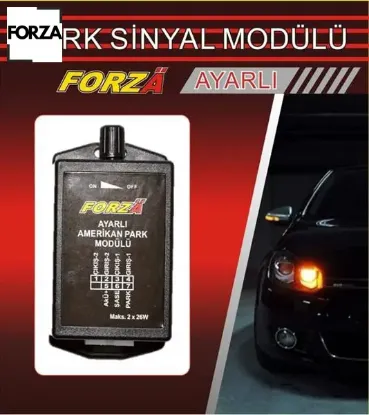 Amerikan park modülü ayarlı forza  resmi