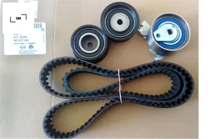 Eksantrik gergi kiti 169x240 vectra b 96-02 -omega b 94-99 astra f-vectra a 94 96 calıbra 97 1.8i-2. Gm 95516738/ 1606192/ 93174261/ 92063917 resmi