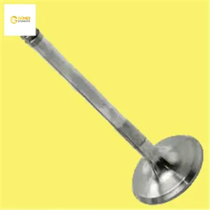 Emme egzoz subap takım polo-caddy-passat-cordoba-fabıa bjb amf bls bdj bmm bxe bkc bmp bnv bnm güneş 038109601e/ 038109611e resmi