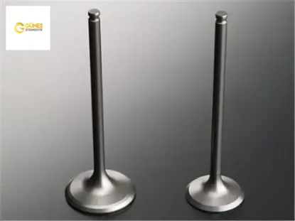 Subap emme egzoz palıo-stılo 1.2 2005 mod. 16v ın-8/ex-8 güneş 55185028 resmi