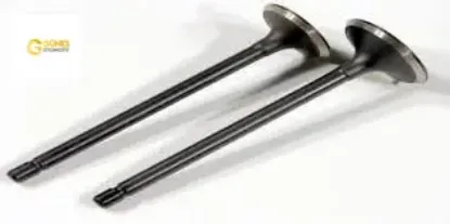 Subap emme egzoz 1.4- euro cıvıc 1.4 16v ın-8/ex-8 güneş 14715p8000/ 14721p8000 resmi