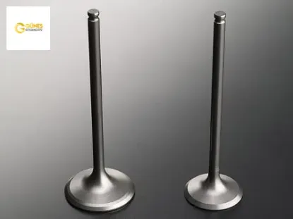 Supap takımı i20 1.2l g4la benzinli 08- / i10 1.2l g4la 16v 08- stellitli lpg li araçlar için uyumlu güneş 2221103200/ 2221203200 resmi